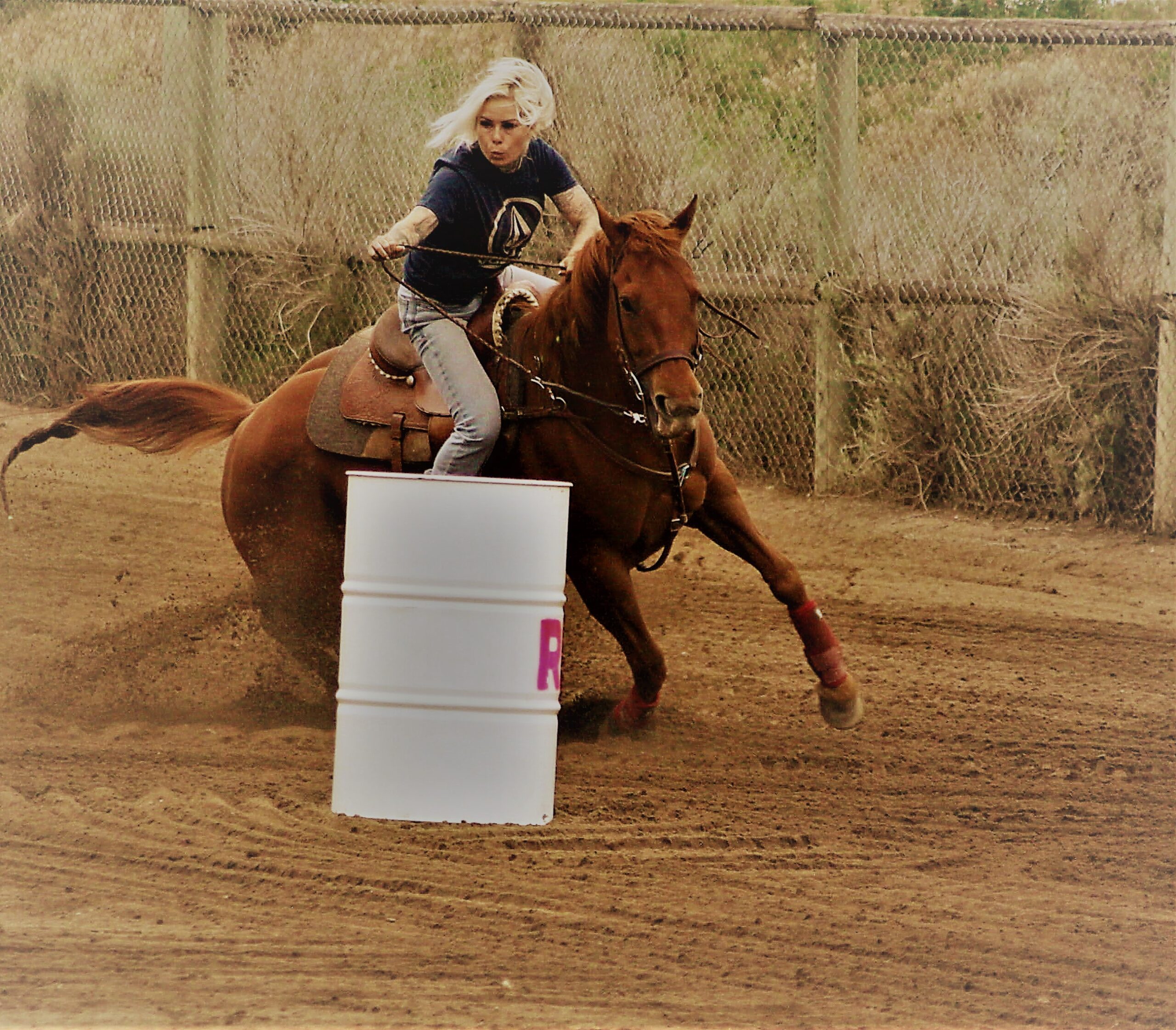 Desert Park Barrel Racer